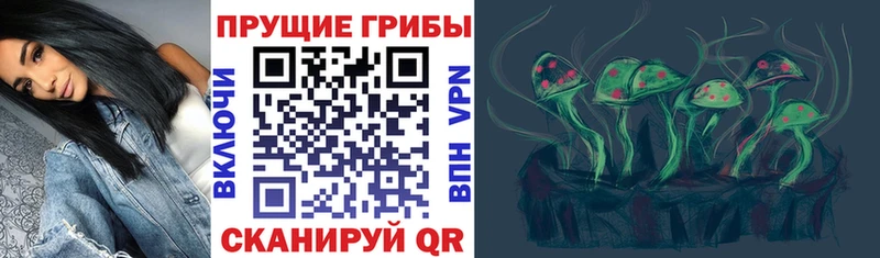 Псилоцибиновые грибы GOLDEN TEACHER  Всеволожск 